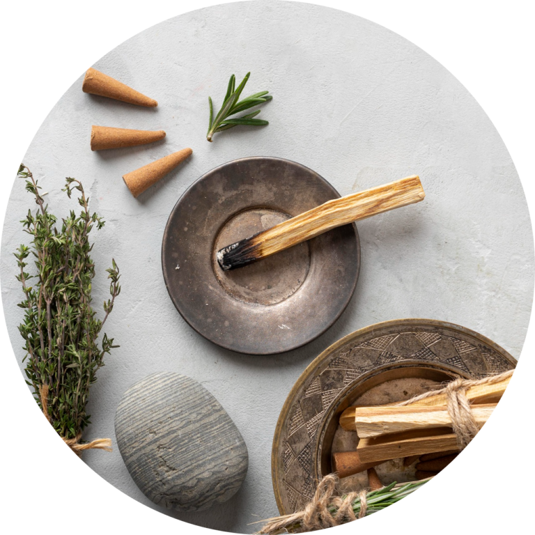 bursera-graveolens-spanish-holy-tree-plant-leaves-modified